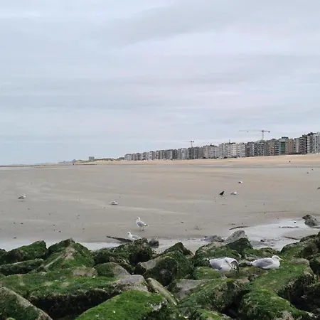 Hébergement de vacances In Near Coxyde