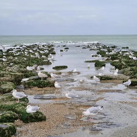 Hébergement de vacances In Near Coxyde